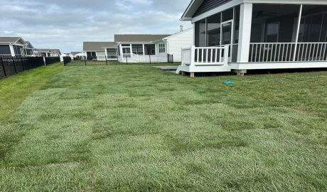 Sod Installation